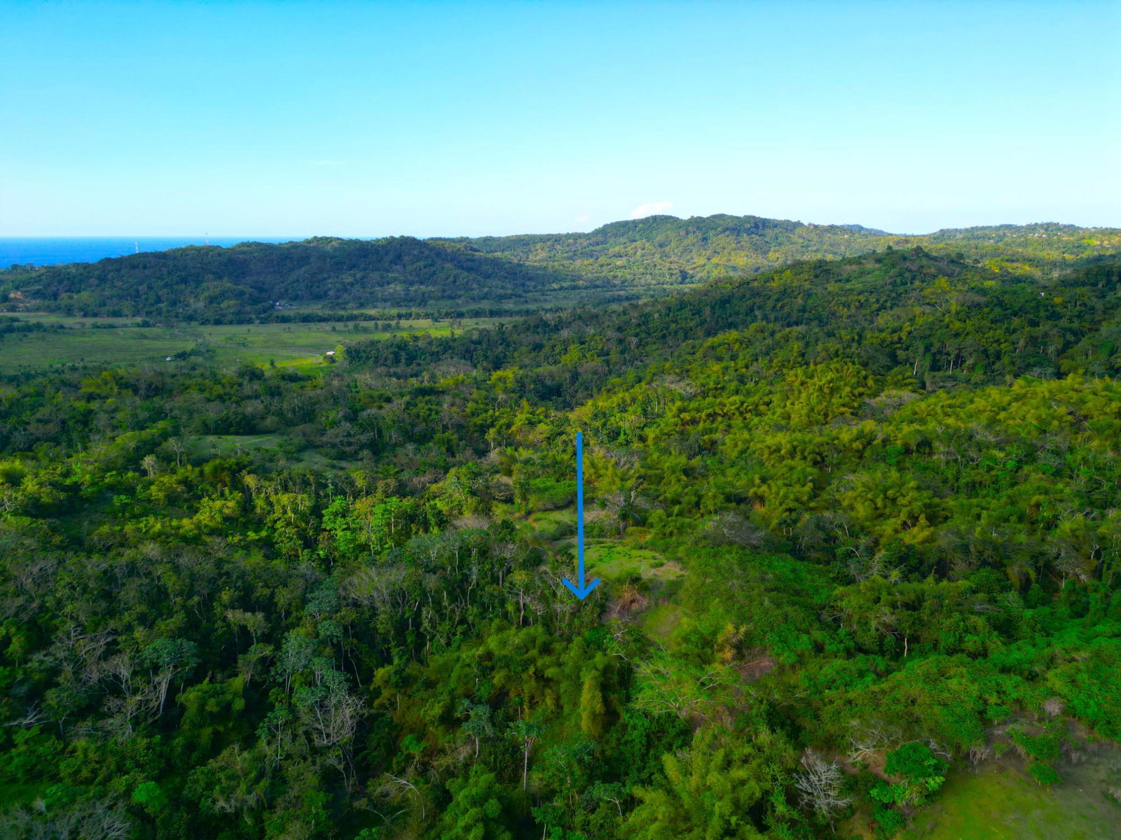 Fourth image of Rothsey Cove Harding Hall in Green Island, Hanover, Jamaica - property is For Rent