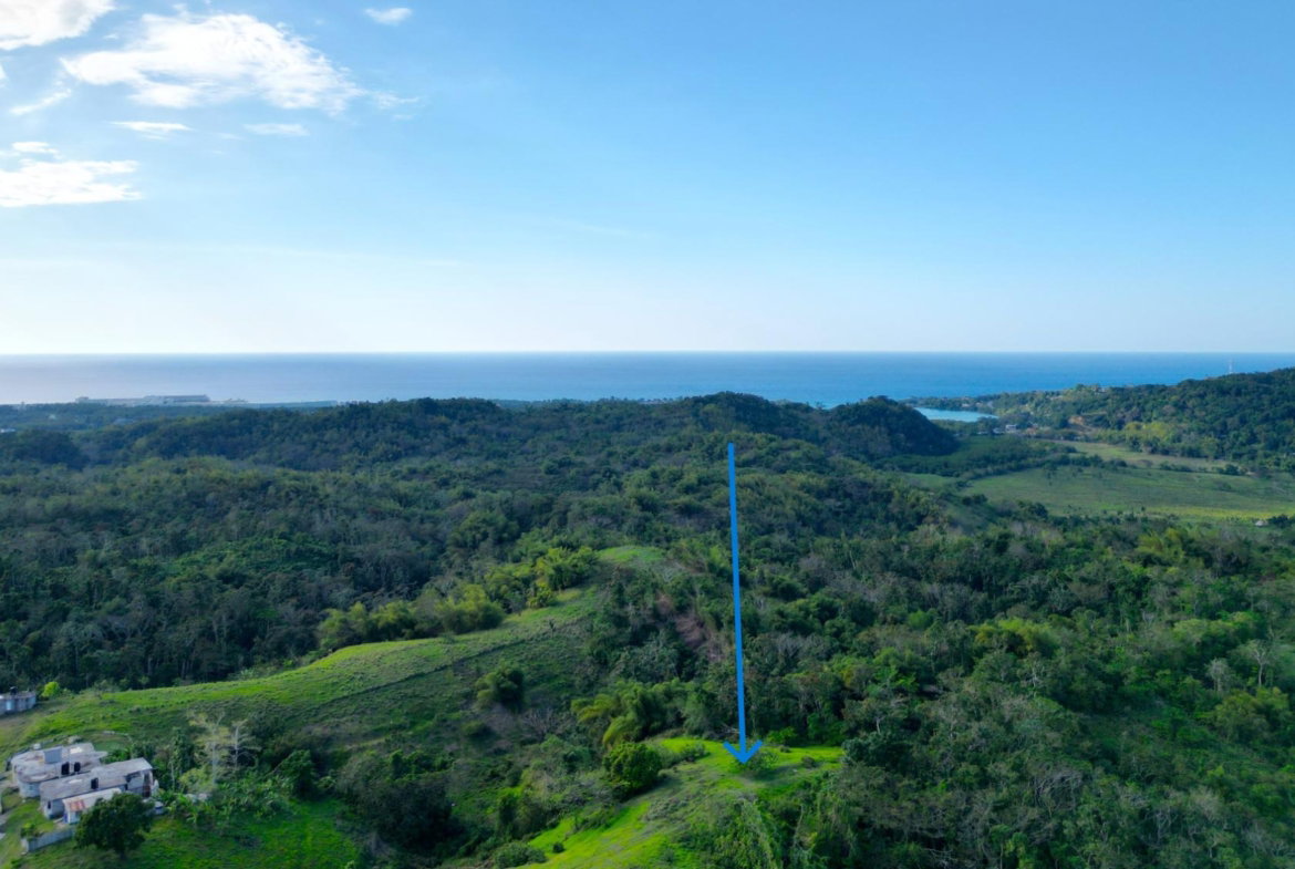 Sixth image of Rothsey Cove Harding Hall in Green Island, Hanover, Jamaica - property is For Rent