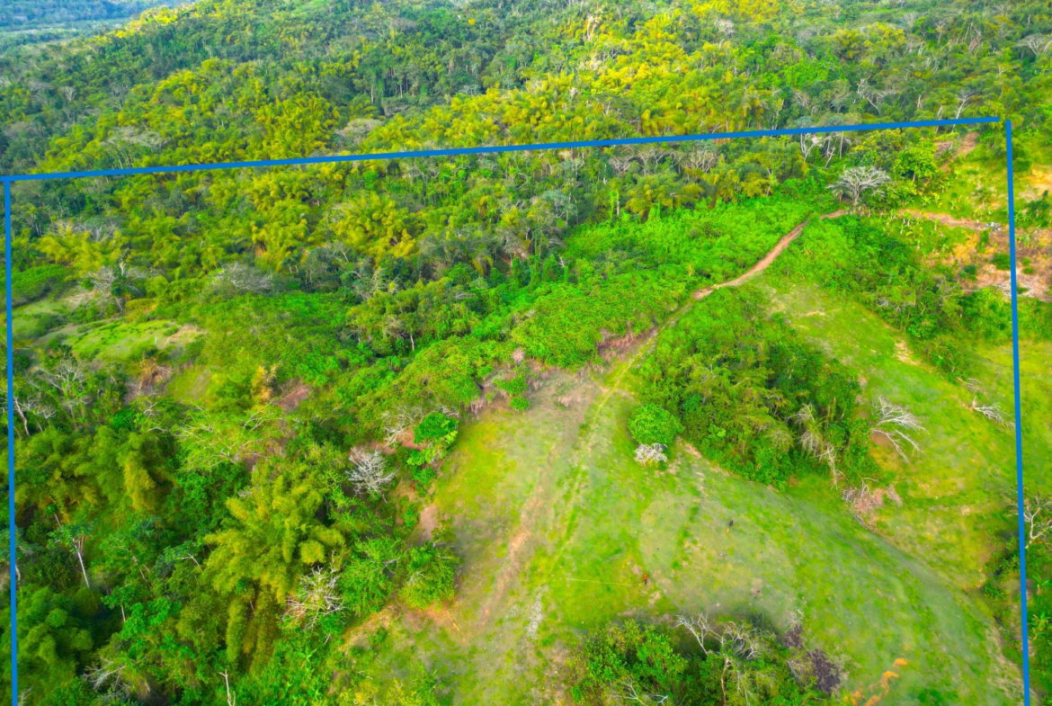 Seventh image of Rothsey Cove Harding Hall in Green Island, Hanover, Jamaica - property is For Rent