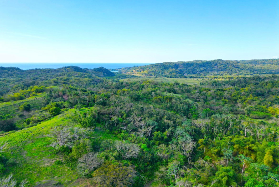 Eighth image of Rothsey Cove Harding Hall in Green Island, Hanover, Jamaica - property is For Rent