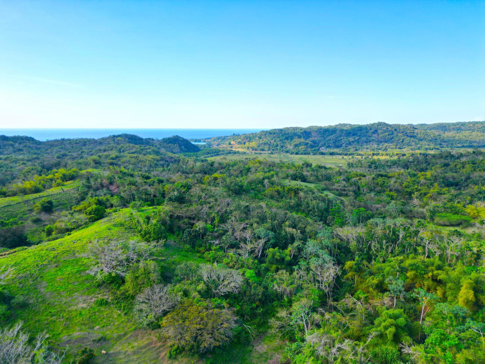 Eighth image of Rothsey Cove Harding Hall in Green Island, Hanover, Jamaica - property is For Rent