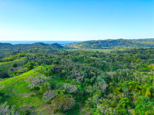 Eighth image of Rothsey Cove Harding Hall in Green Island, Hanover, Jamaica - property is For Rent