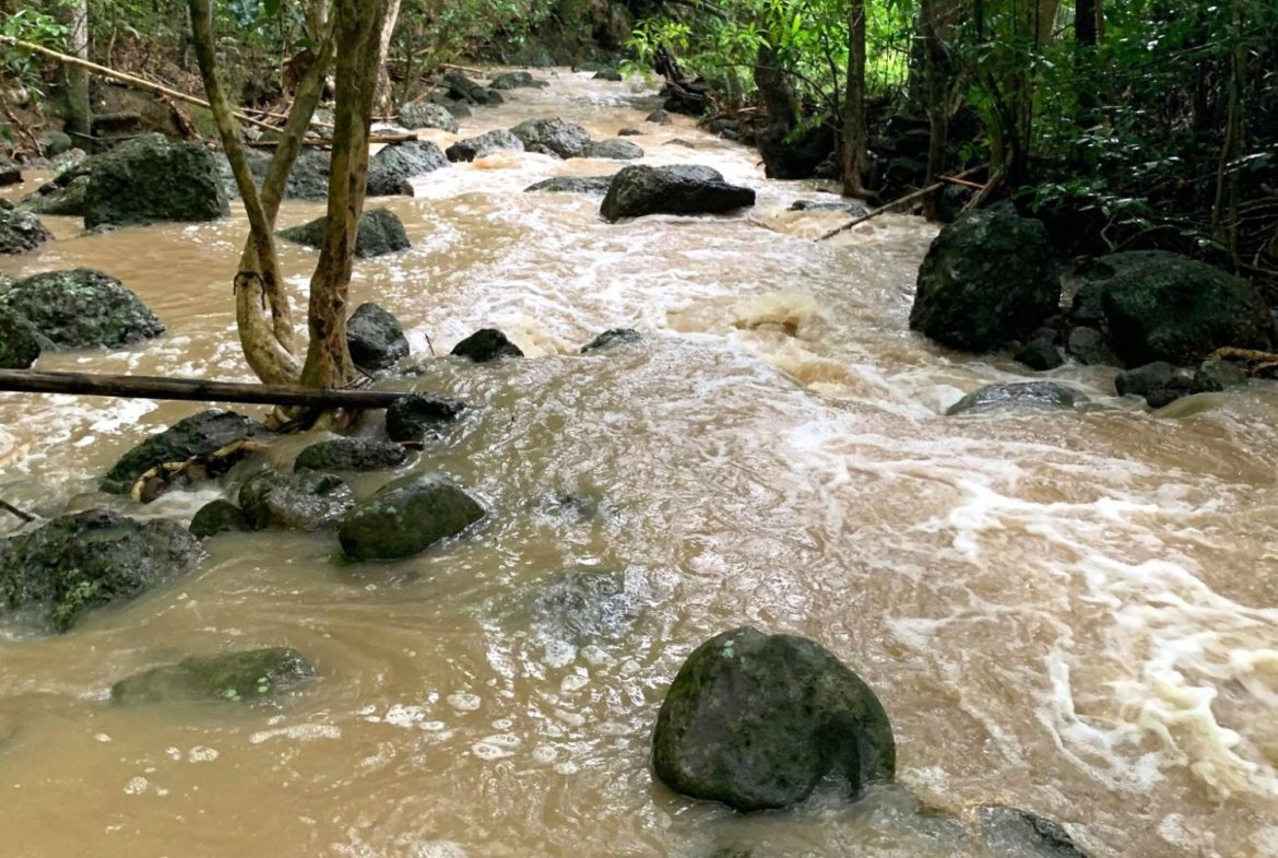 Tenth image of Rothsey Cove Harding Hall in Green Island, Hanover, Jamaica - property is For Rent