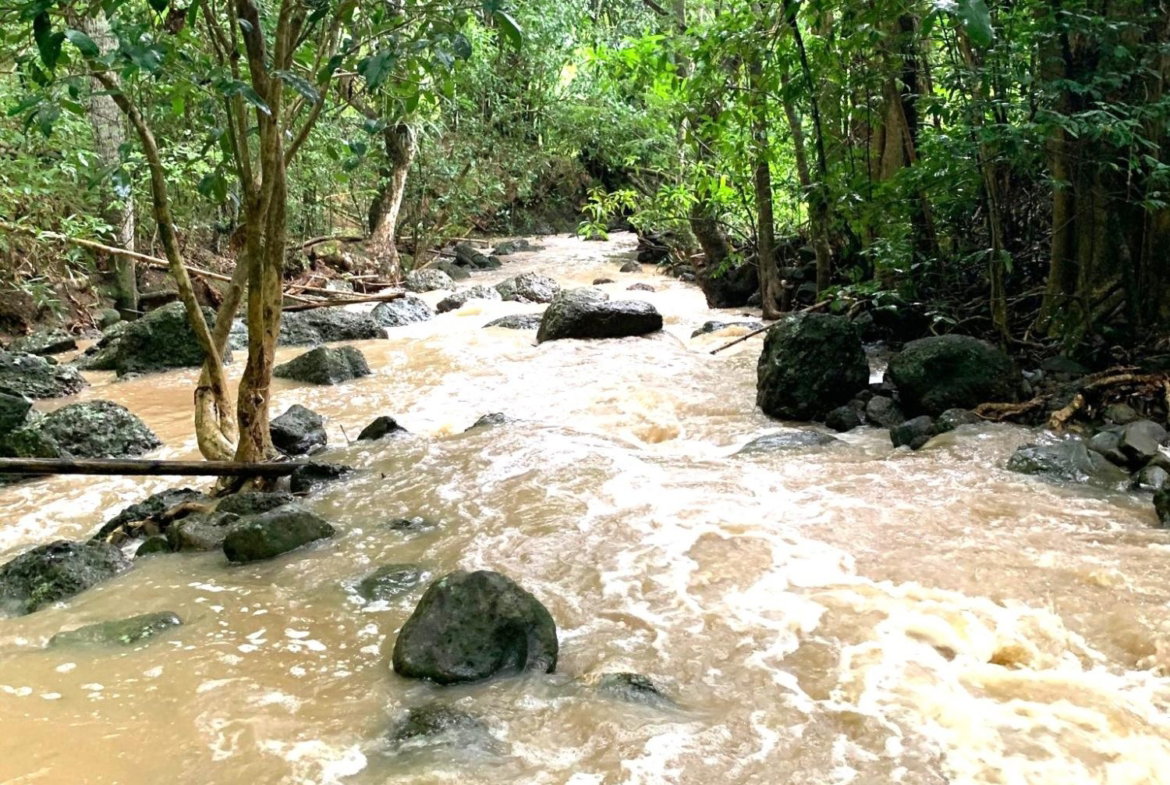 Twelfth image of Rothsey Cove Harding Hall in Green Island, Hanover, Jamaica - property is For Rent