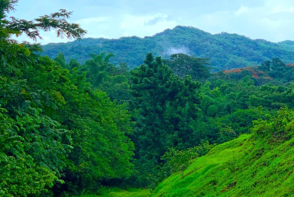 Nineteenth image of Rothsey Cove Harding Hall in Green Island, Hanover, Jamaica - property is For Rent