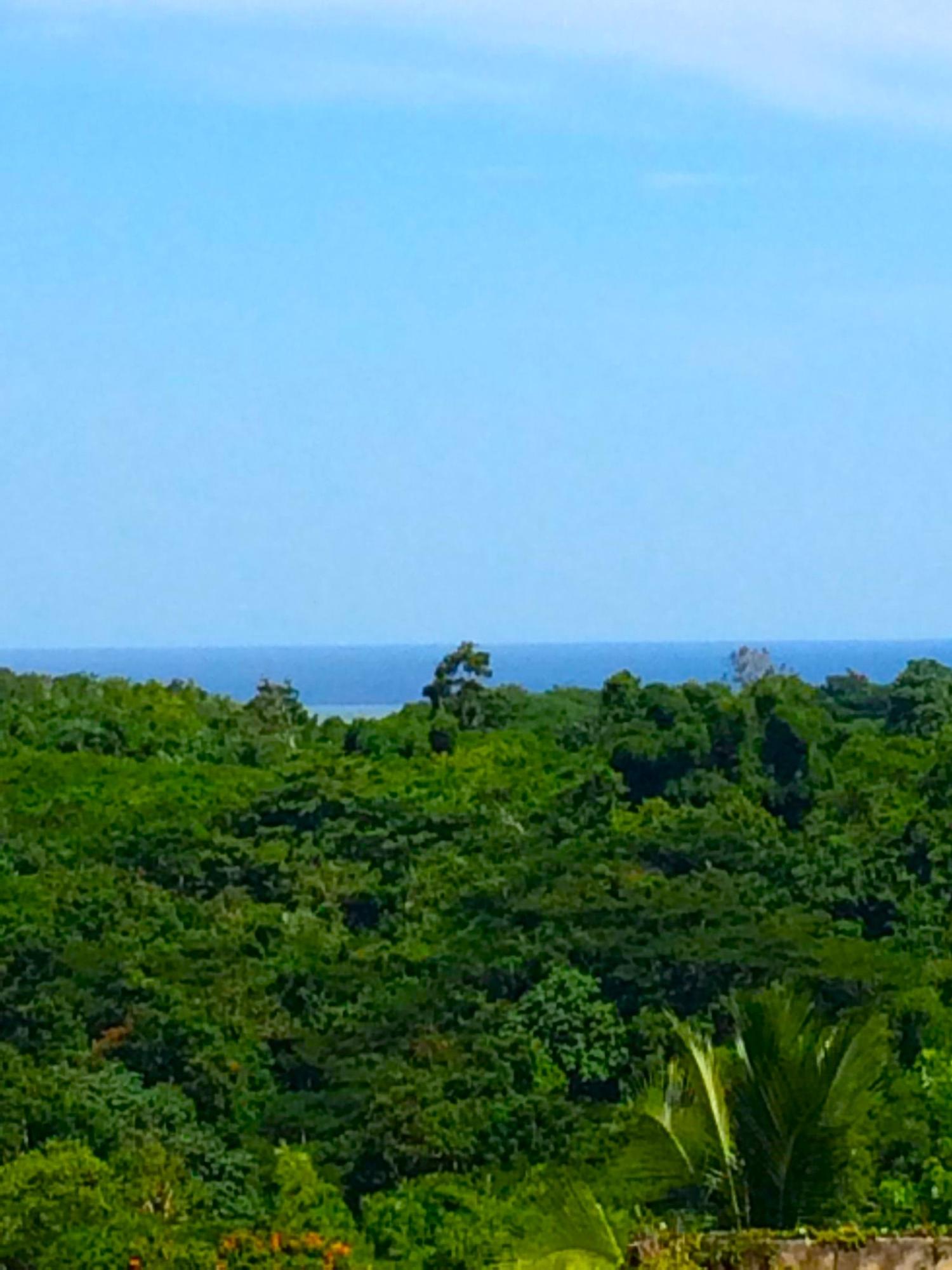 Twentieth image of Rothsey Cove Harding Hall in Green Island, Hanover, Jamaica - property is For Rent