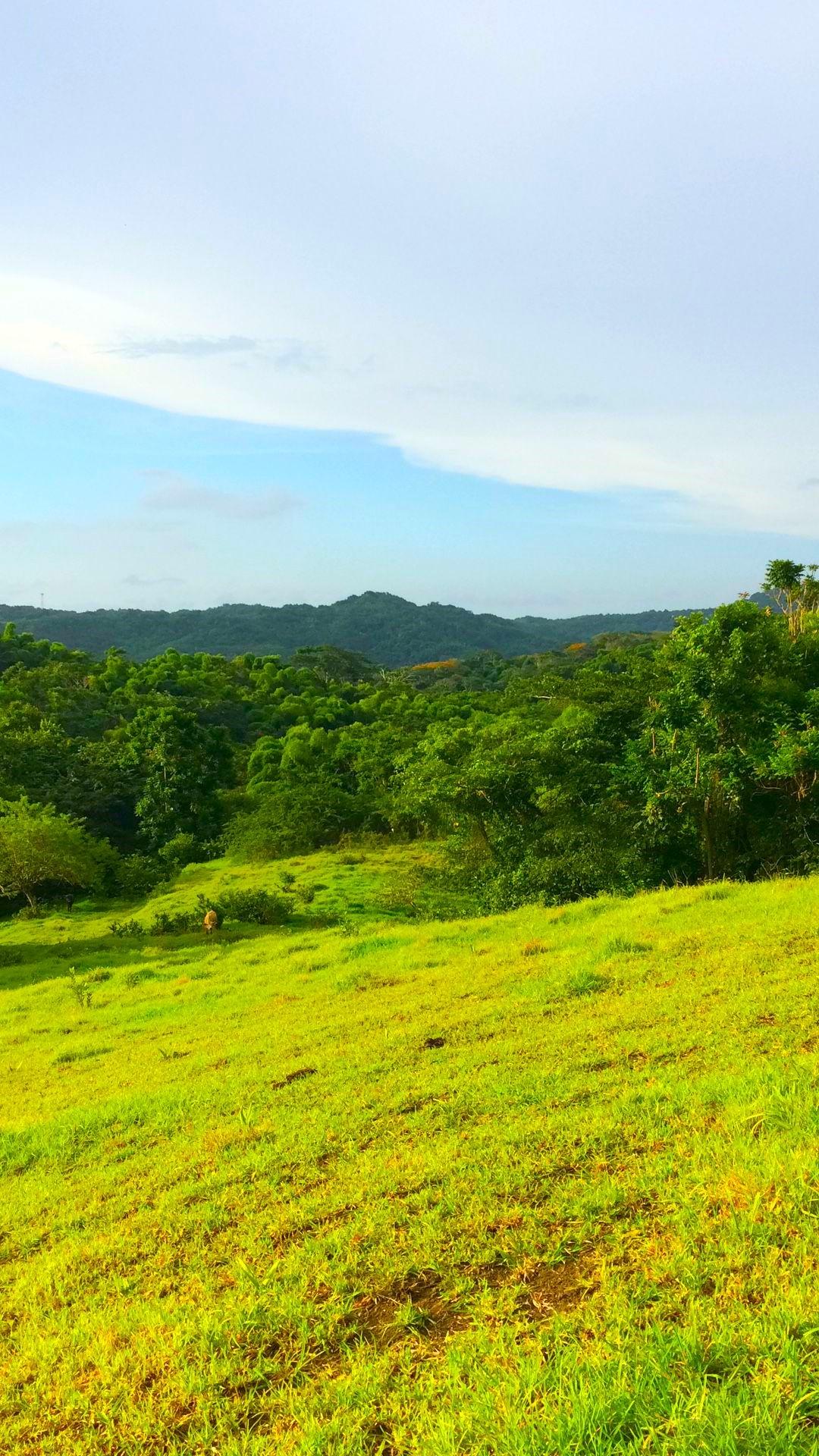 Twenty-Second image of Rothsey Cove Harding Hall in Green Island, Hanover, Jamaica - property is For Rent