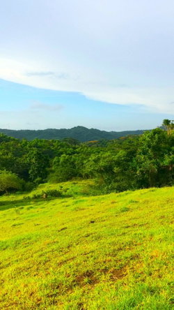 Twenty-Second image of Rothsey Cove Harding Hall in Green Island, Hanover, Jamaica - property is For Rent