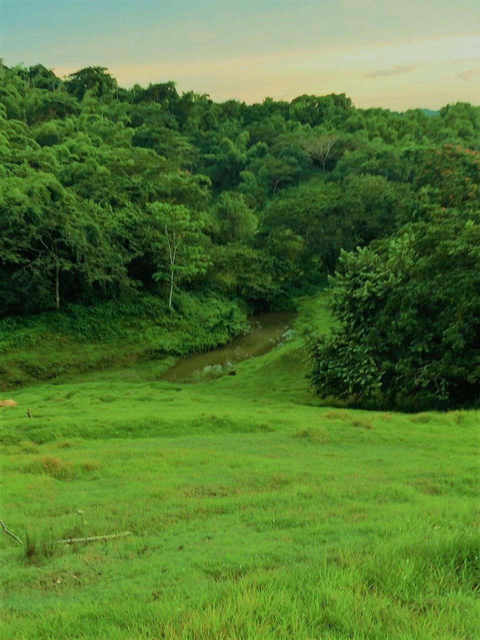Twenty-Third image of Rothsey Cove Harding Hall in Green Island, Hanover, Jamaica - property is For Rent