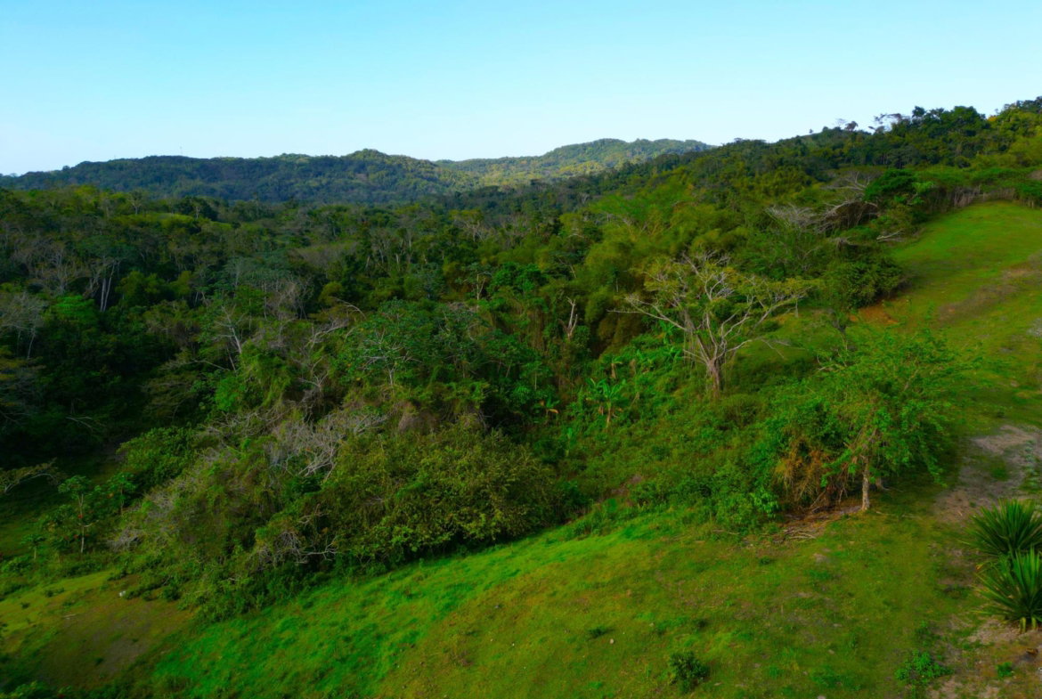 Twenty-Fifth image of Rothsey Cove Harding Hall in Green Island, Hanover, Jamaica - property is For Rent