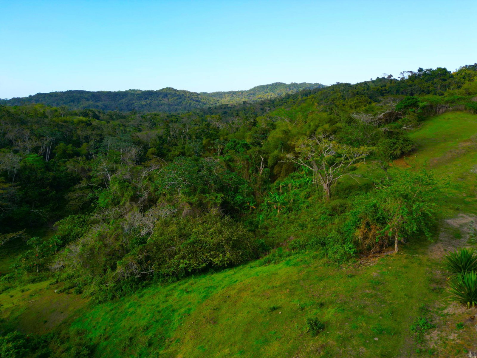 Twenty-Fifth image of Rothsey Cove Harding Hall in Green Island, Hanover, Jamaica - property is For Rent