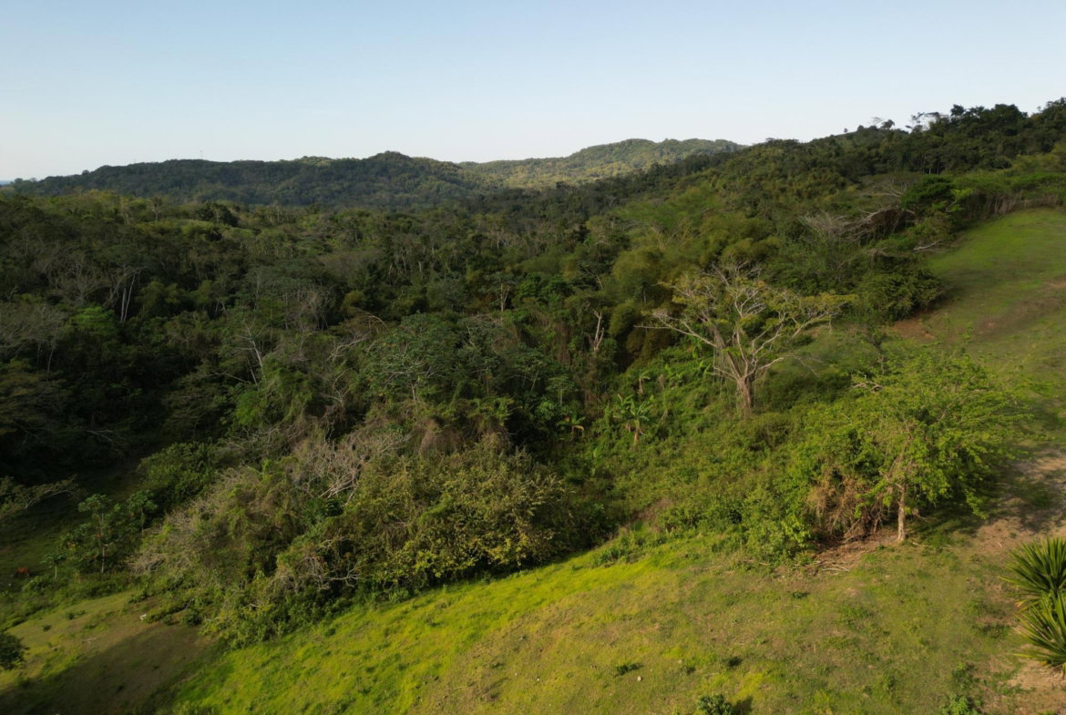 Twenty-Sixth image of Rothsey Cove Harding Hall in Green Island, Hanover, Jamaica - property is For Rent