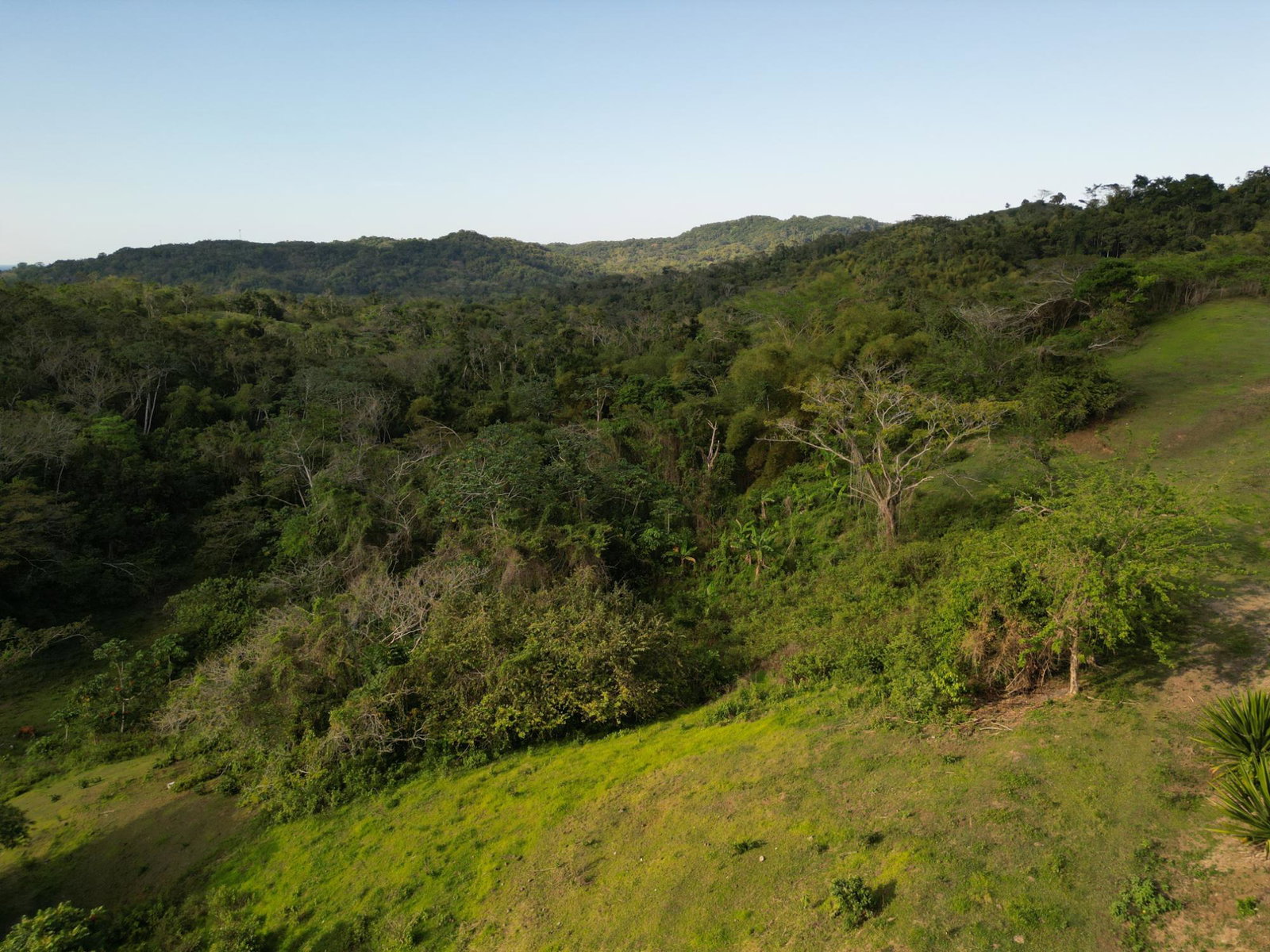 Twenty-Sixth image of Rothsey Cove Harding Hall in Green Island, Hanover, Jamaica - property is For Rent