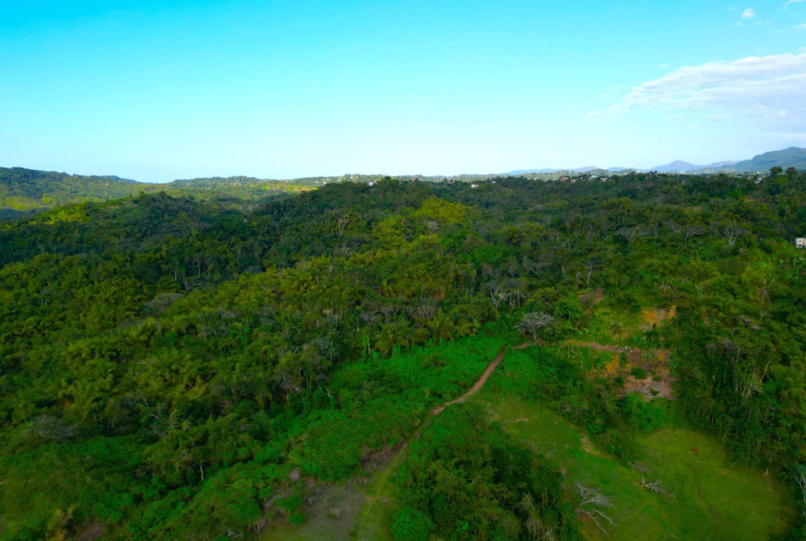 Twenty-Seventh image of Rothsey Cove Harding Hall in Green Island, Hanover, Jamaica - property is For Rent