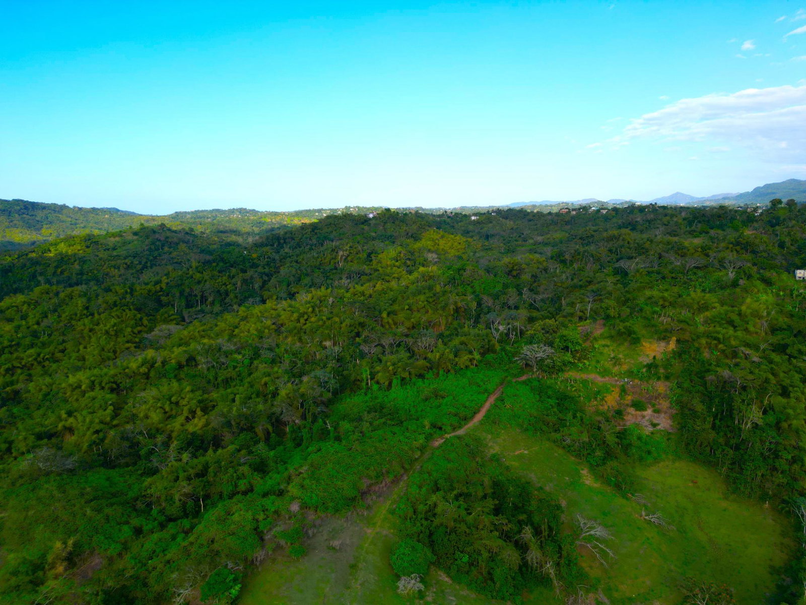 Twenty-Seventh image of Rothsey Cove Harding Hall in Green Island, Hanover, Jamaica - property is For Rent