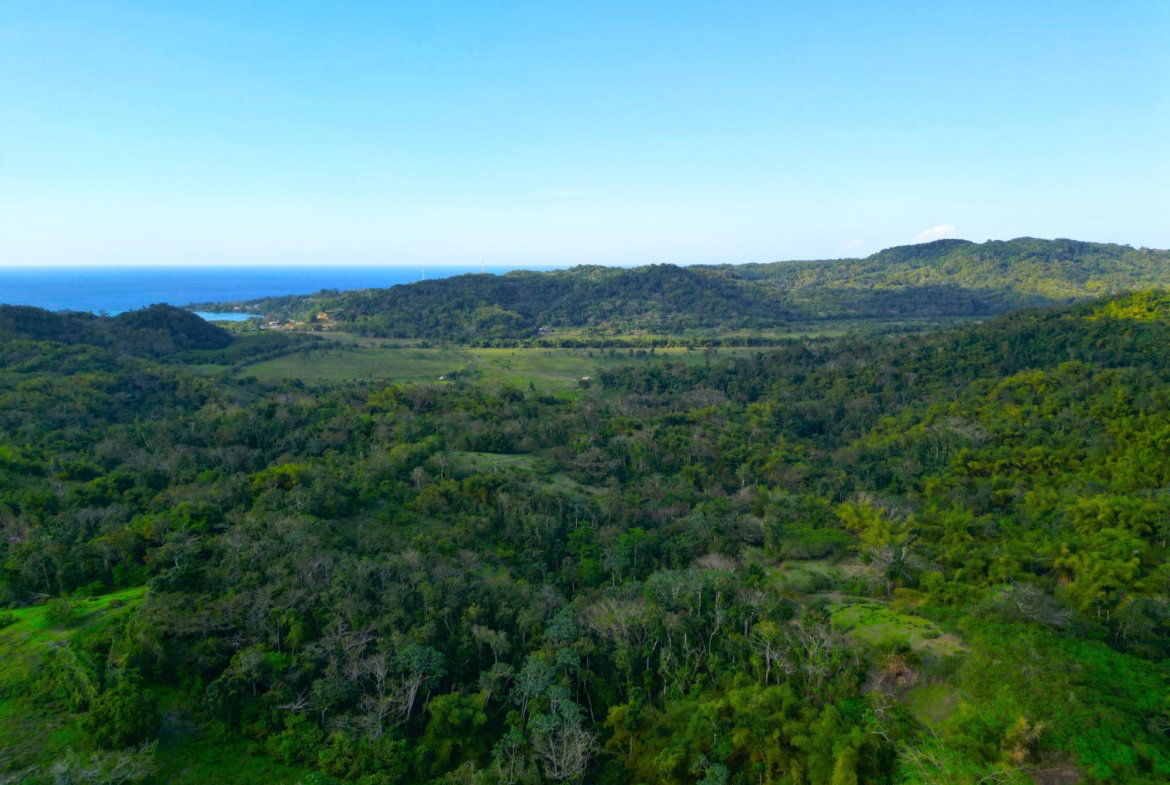 Twenty-Eighth image of Rothsey Cove Harding Hall in Green Island, Hanover, Jamaica - property is For Rent