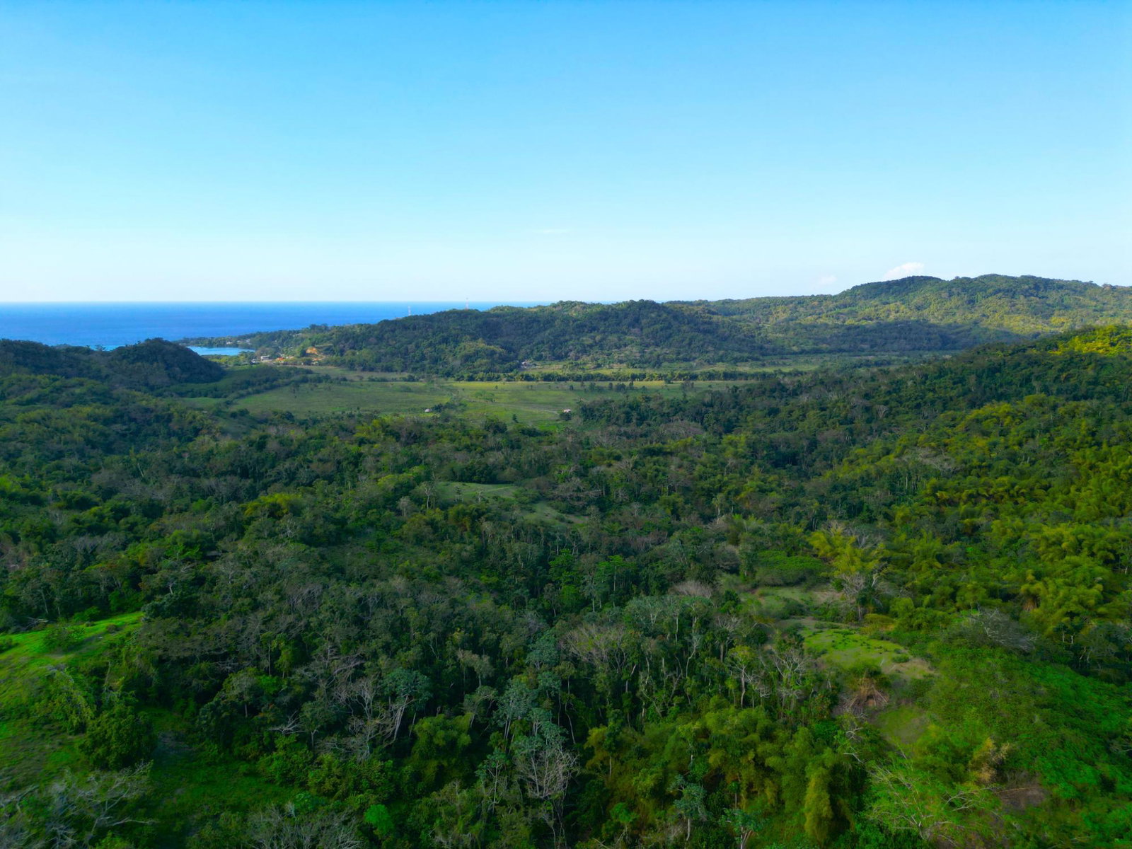 Twenty-Eighth image of Rothsey Cove Harding Hall in Green Island, Hanover, Jamaica - property is For Rent