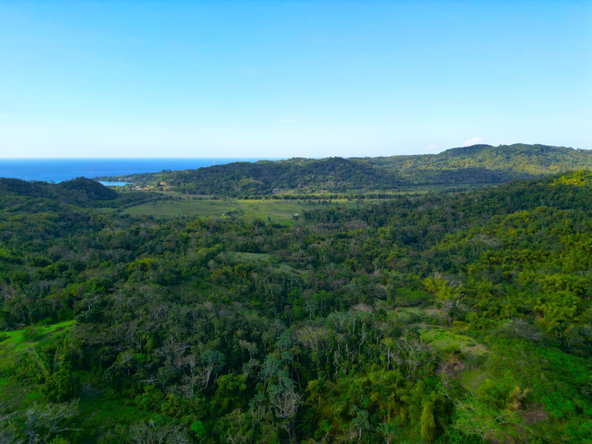 Twenty-Eighth image of Rothsey Cove Harding Hall in Green Island, Hanover, Jamaica - property is For Rent