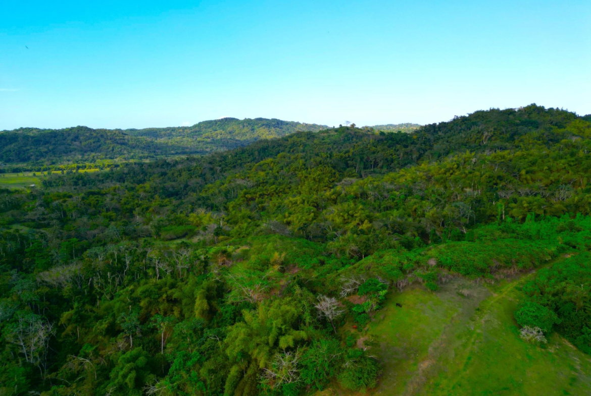 Thirtieth image of Rothsey Cove Harding Hall in Green Island, Hanover, Jamaica - property is For Rent