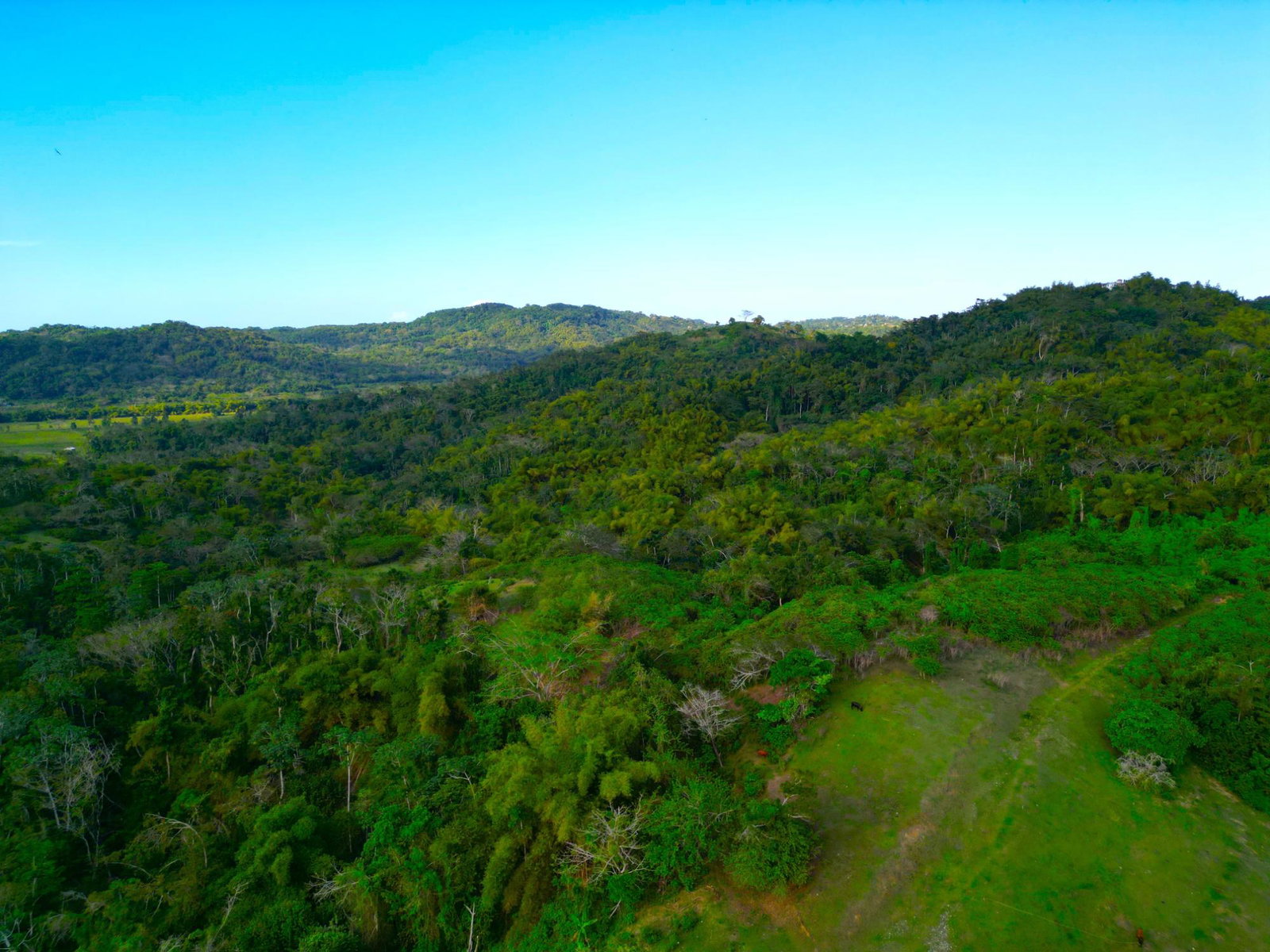 Thirtieth image of Rothsey Cove Harding Hall in Green Island, Hanover, Jamaica - property is For Rent
