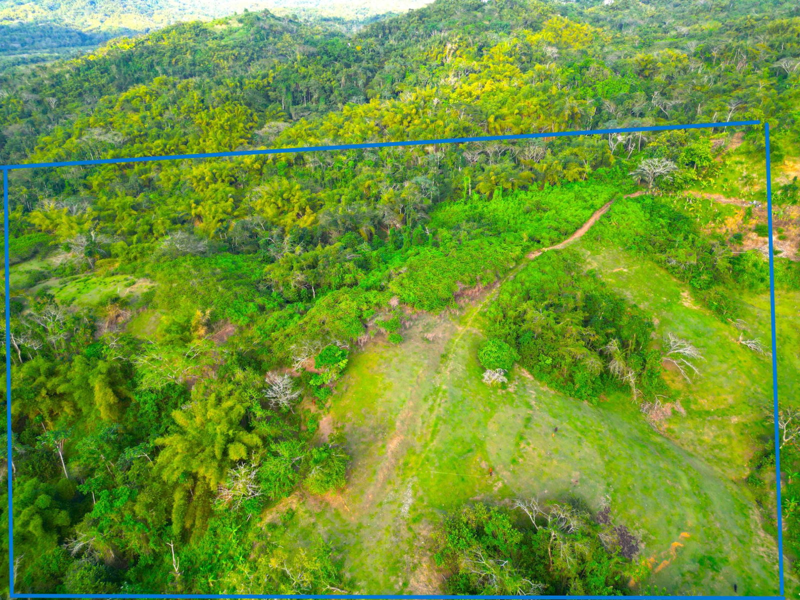Second image of 66 Rothsey Cove Harding Hall in Green Island, Hanover, Jamaica - property is For Sale