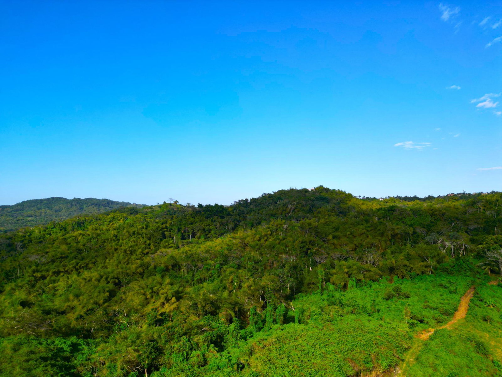 Eleventh image of 66 Rothsey Cove Harding Hall in Green Island, Hanover, Jamaica - property is For Sale