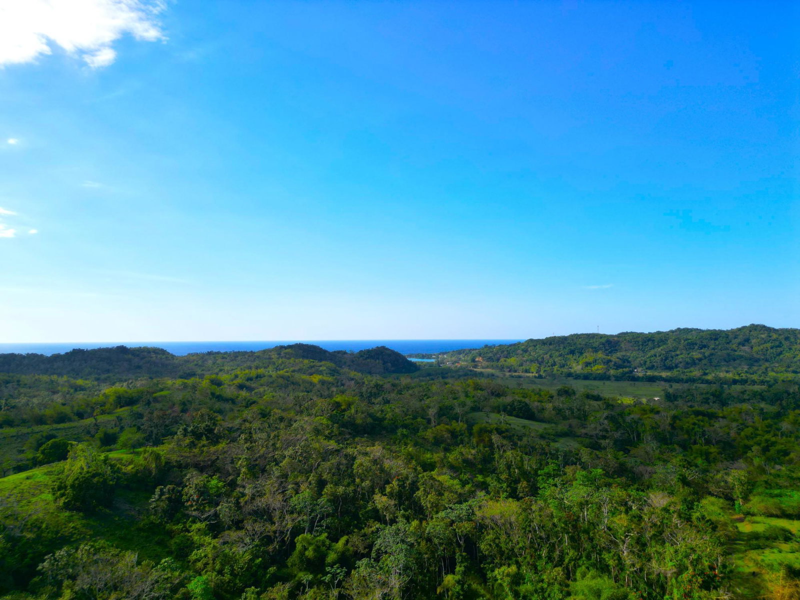 Fourteenth image of 66 Rothsey Cove Harding Hall in Green Island, Hanover, Jamaica - property is For Sale