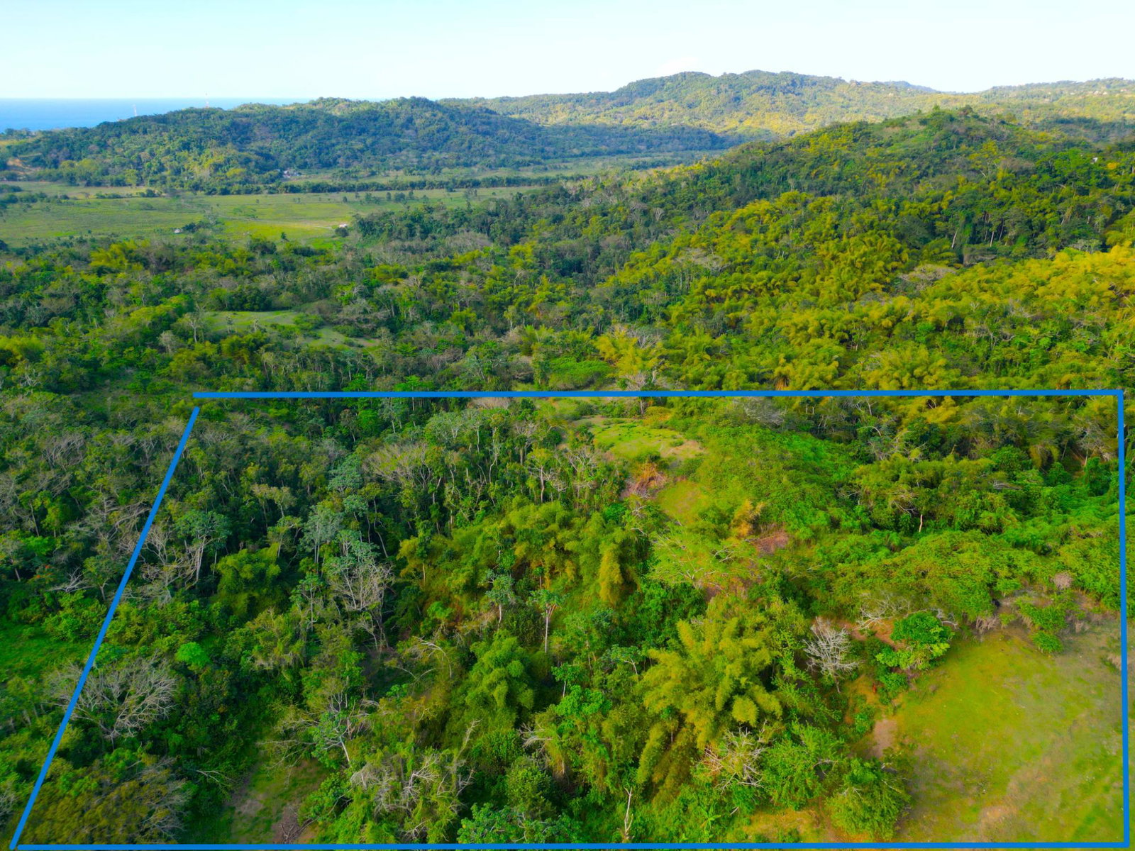 Third image of 66 Rothsey Cove Harding Hall in Green Island, Hanover, Jamaica - property is For Sale