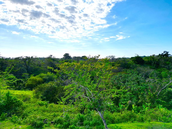 Ninth image of 66 Rothsey Cove Harding Hall in Green Island, Hanover, Jamaica - property is For Sale