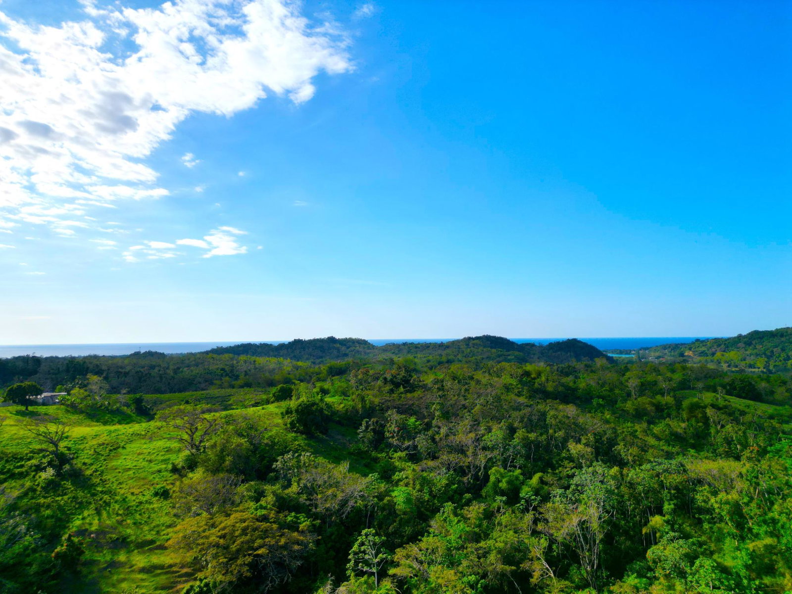 Tenth image of 66 Rothsey Cove Harding Hall in Green Island, Hanover, Jamaica - property is For Sale