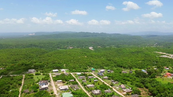 Second image of Lot 6 Sevens Plantation in Chandlers Pen, Clarendon, Jamaica - property is For Sale