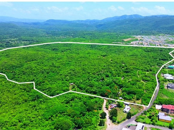 First image of Lot 6 Sevens Plantation in Chandlers Pen, Clarendon, Jamaica - property is For Sale
