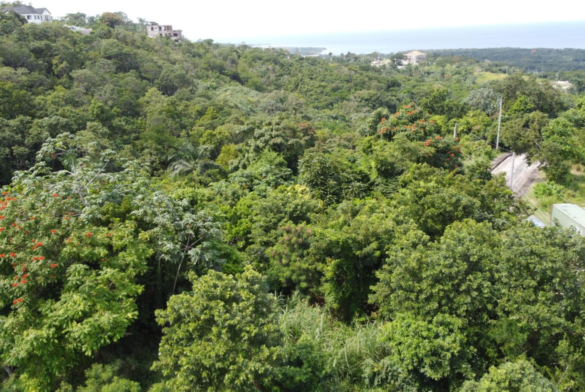 Eighth image of Drax Hall, Lanico Close in Ocho Rios, St. Ann, Jamaica - property is For Sale