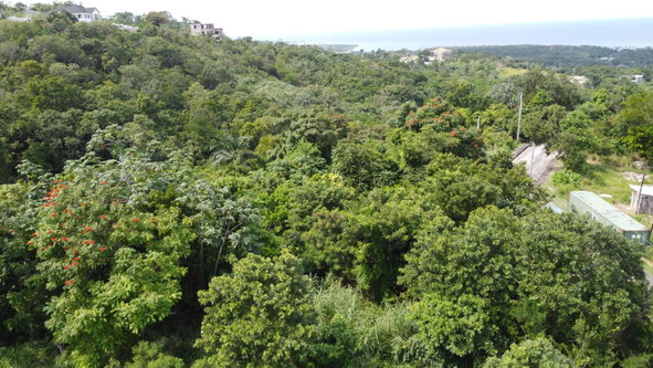 Eighth image of Drax Hall, Lanico Close in Ocho Rios, St. Ann, Jamaica - property is For Sale