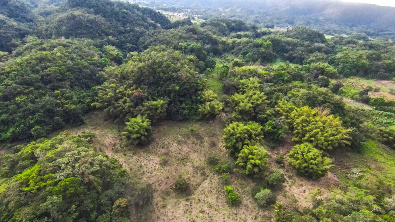 Second image of 41 Greenock in Cave Valey, St. Ann, Jamaica - property is For Sale