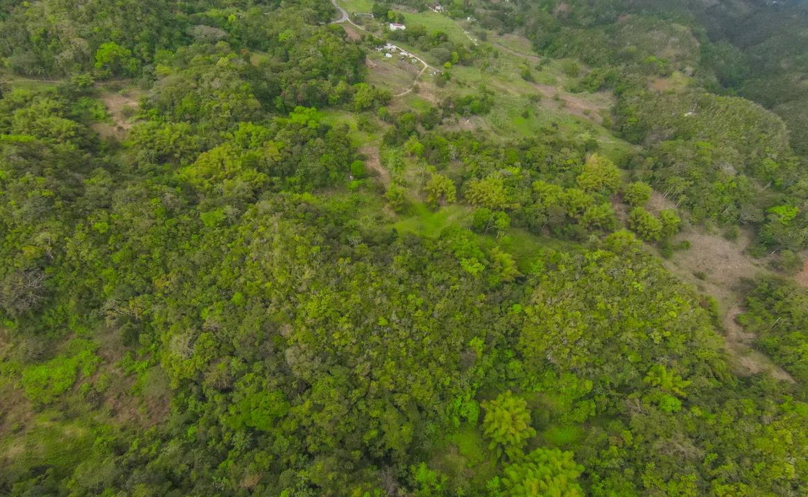 Thirteenth image of 41 Greenock in Cave Valey, St. Ann, Jamaica - property is For Sale