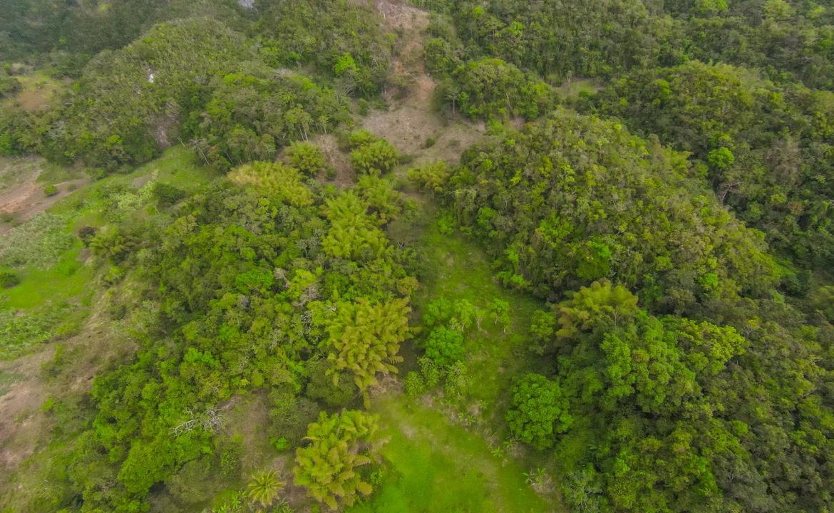Sixteenth image of 41 Greenock in Cave Valey, St. Ann, Jamaica - property is For Sale