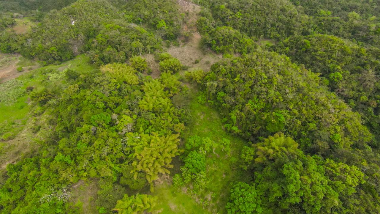 Seventeenth image of 41 Greenock in Cave Valey, St. Ann, Jamaica - property is For Sale