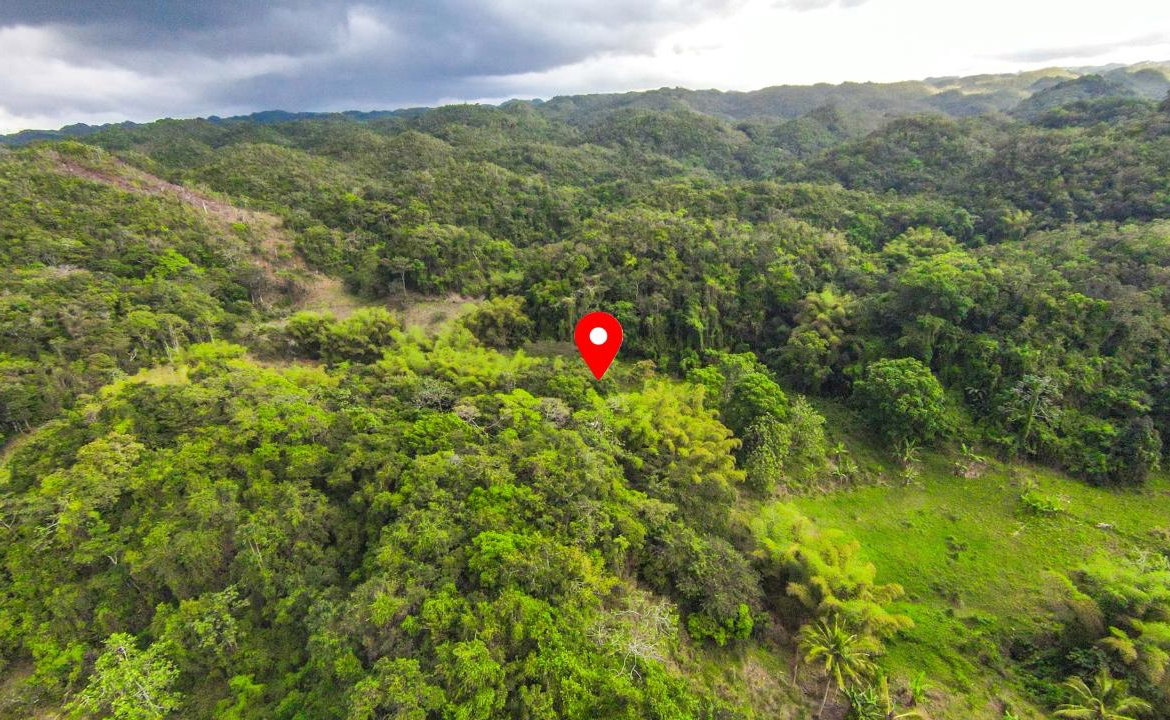 Third image of 41 Greenock in Cave Valey, St. Ann, Jamaica - property is For Sale
