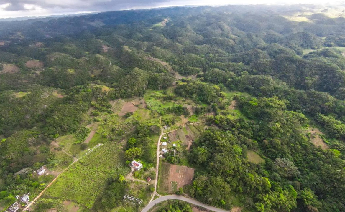 Twenty-First image of 41 Greenock in Cave Valey, St. Ann, Jamaica - property is For Sale