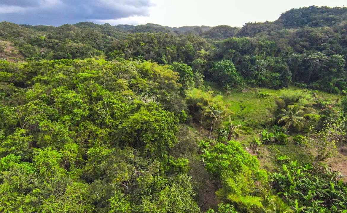 Twenty-Sixth image of 41 Greenock in Cave Valey, St. Ann, Jamaica - property is For Sale