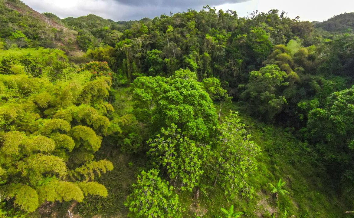 Fifth image of 41 Greenock in Cave Valey, St. Ann, Jamaica - property is For Sale