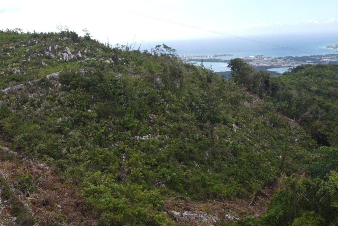 Eleventh image of Ramble Hill, Gordon's Cro in Montego Bay, St. James, Jamaica - property is For Sale