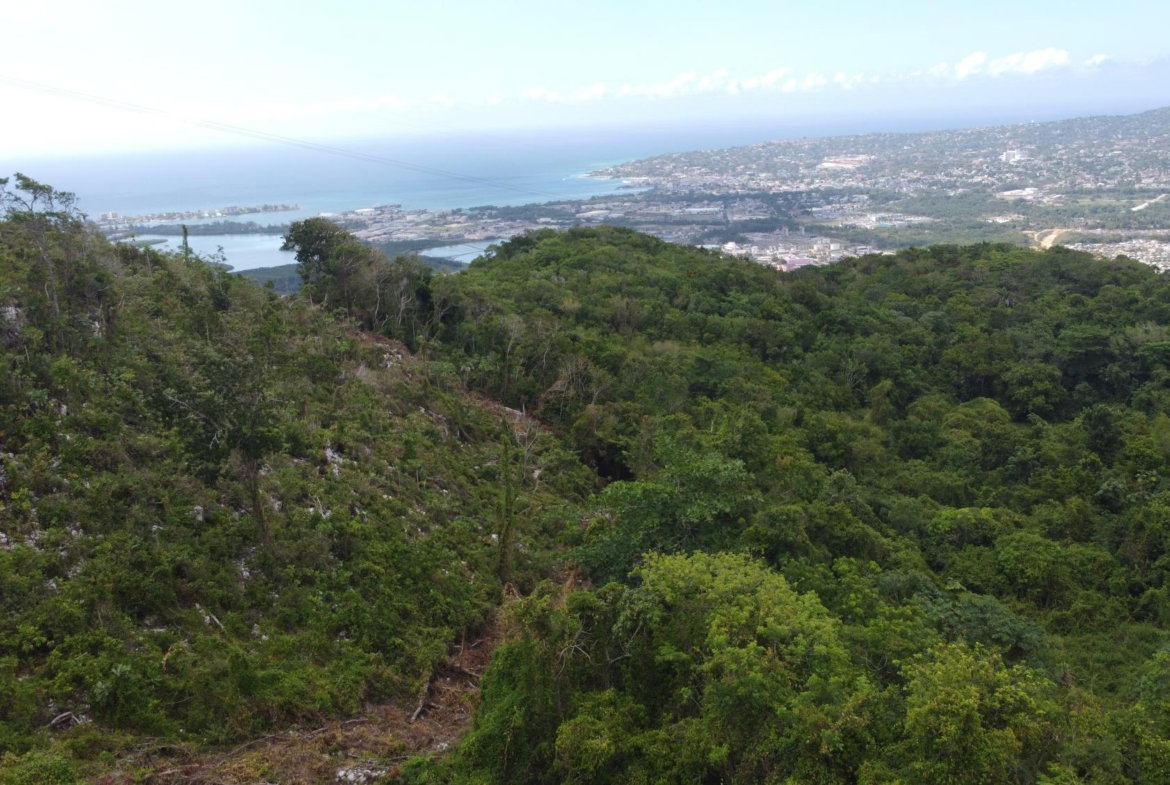 Thirteenth image of Ramble Hill, Gordon's Cro in Montego Bay, St. James, Jamaica - property is For Sale
