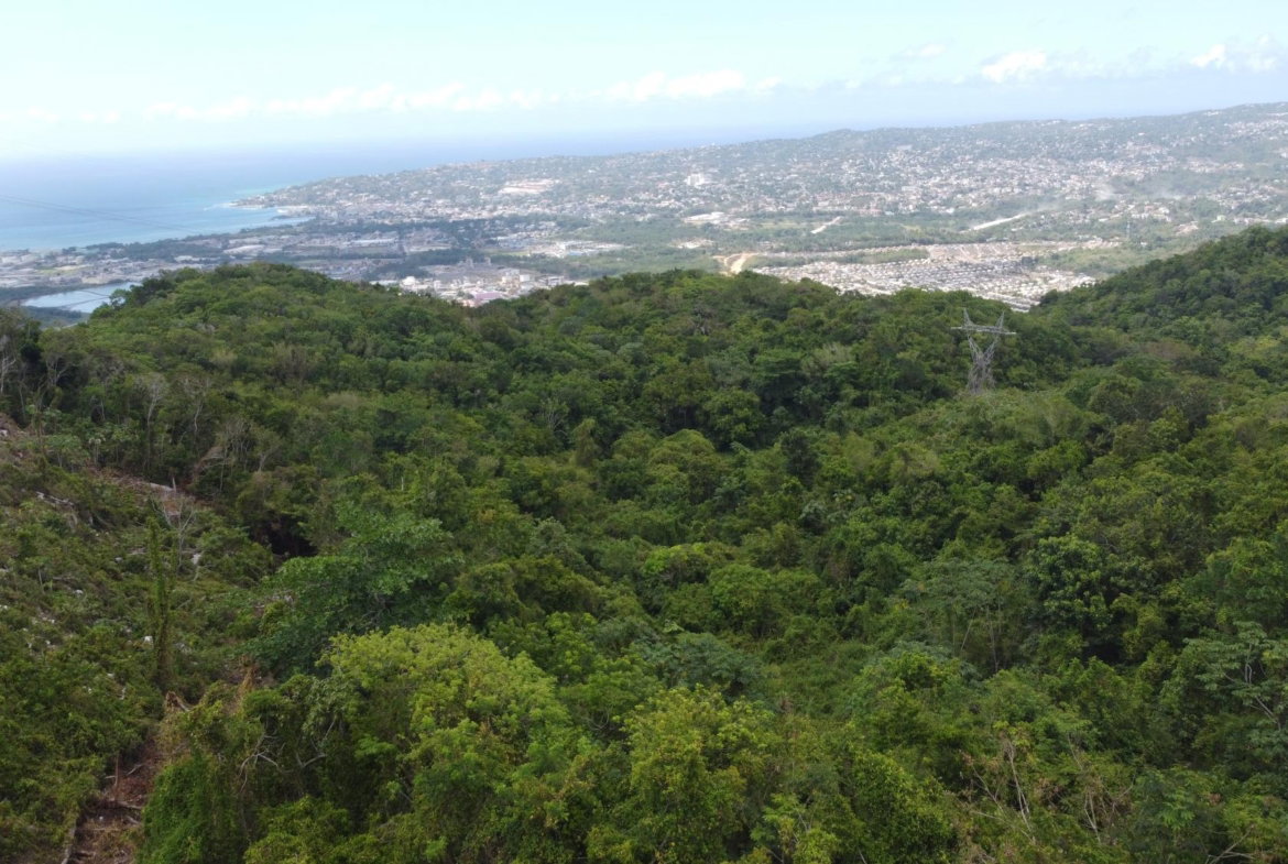 Fourteenth image of Ramble Hill, Gordon's Cro in Montego Bay, St. James, Jamaica - property is For Sale
