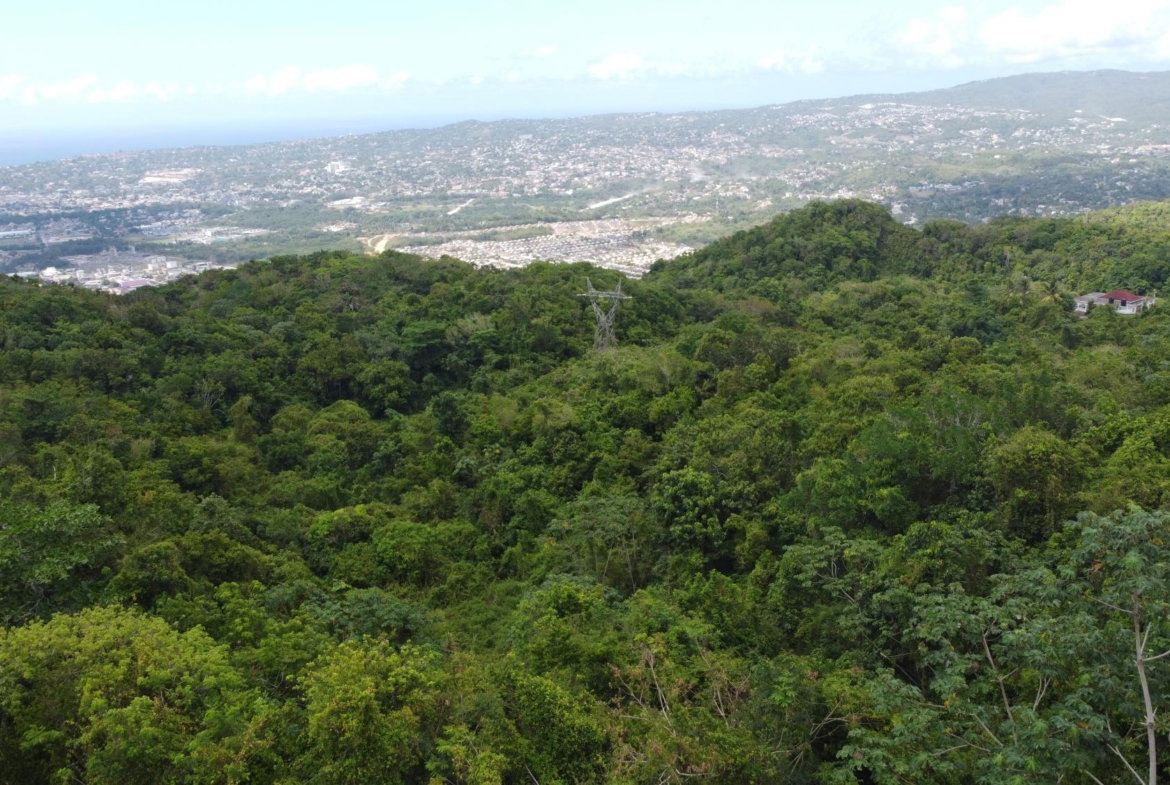 Fifteenth image of Ramble Hill, Gordon's Cro in Montego Bay, St. James, Jamaica - property is For Sale