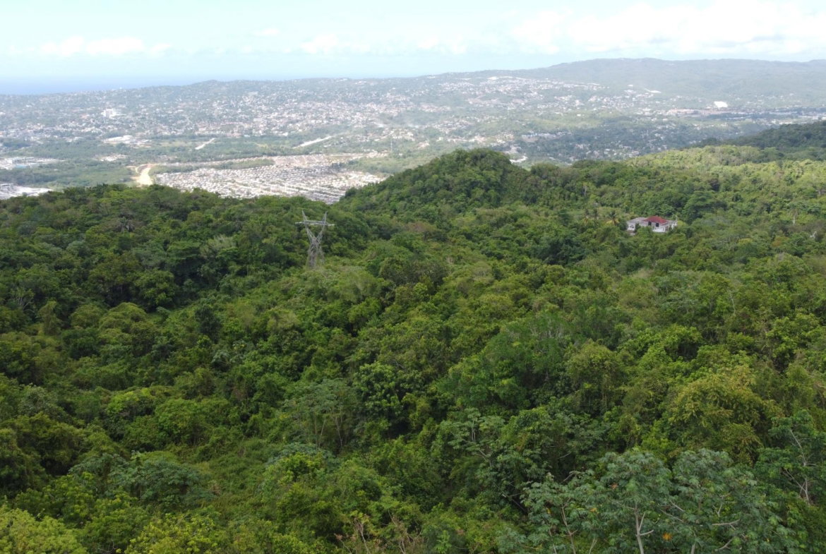 Seventeenth image of Ramble Hill, Gordon's Cro in Montego Bay, St. James, Jamaica - property is For Sale