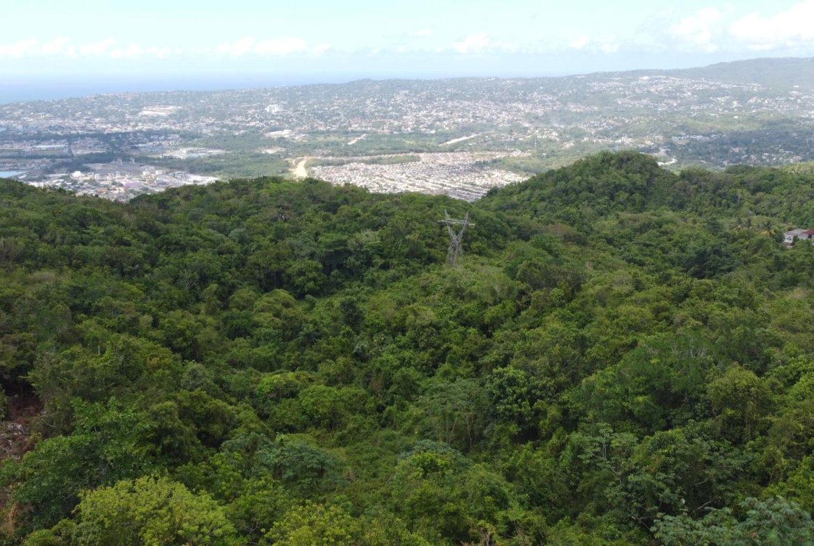 Eighteenth image of Ramble Hill, Gordon's Cro in Montego Bay, St. James, Jamaica - property is For Sale