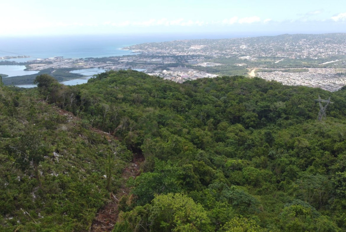 Nineteenth image of Ramble Hill, Gordon's Cro in Montego Bay, St. James, Jamaica - property is For Sale