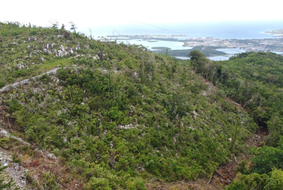 Twenty-First image of Ramble Hill, Gordon's Cro in Montego Bay, St. James, Jamaica - property is For Sale